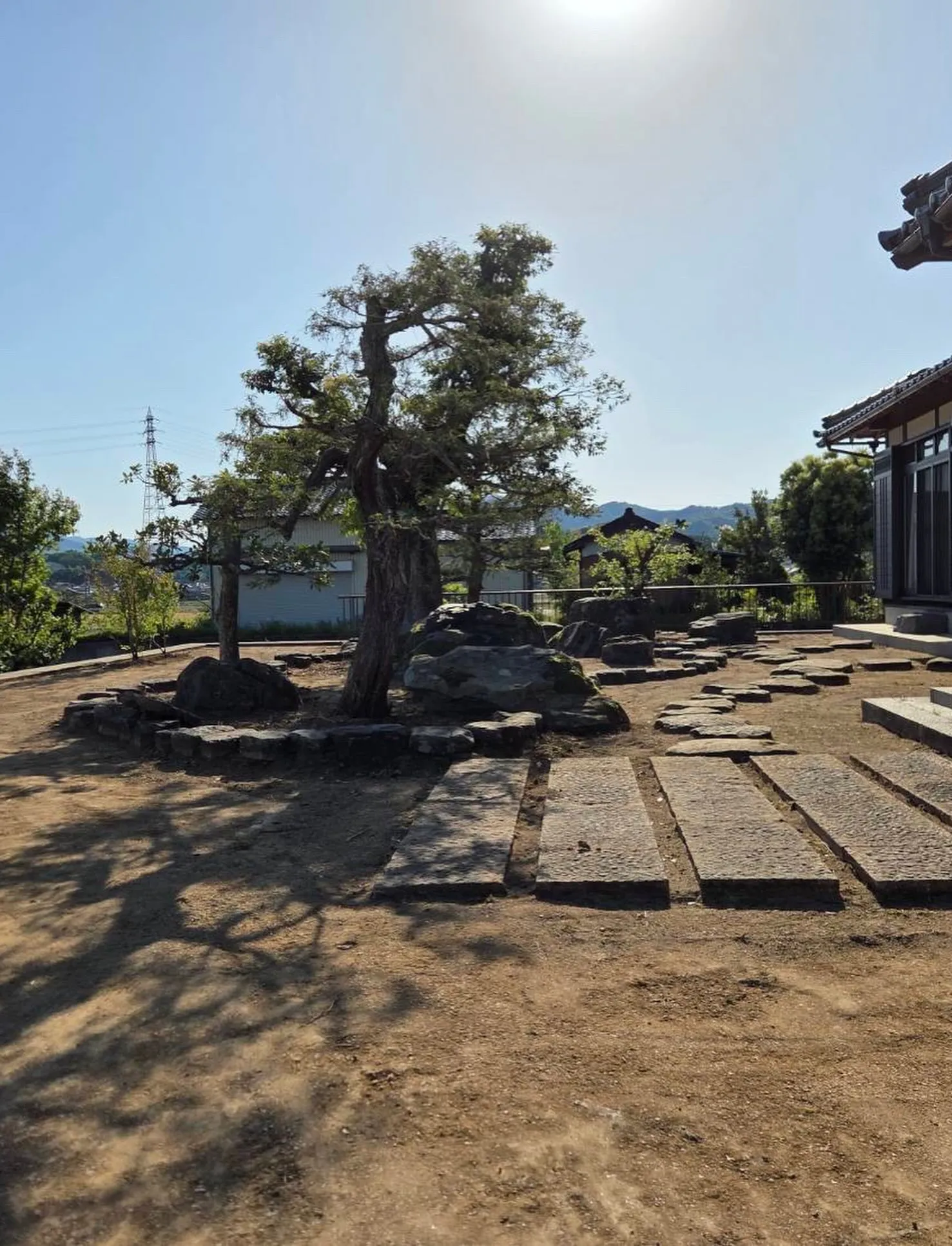 【豊岡市 お庭の雑草対策】