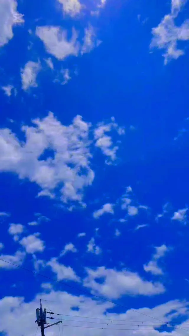 ありがとうございました🙇